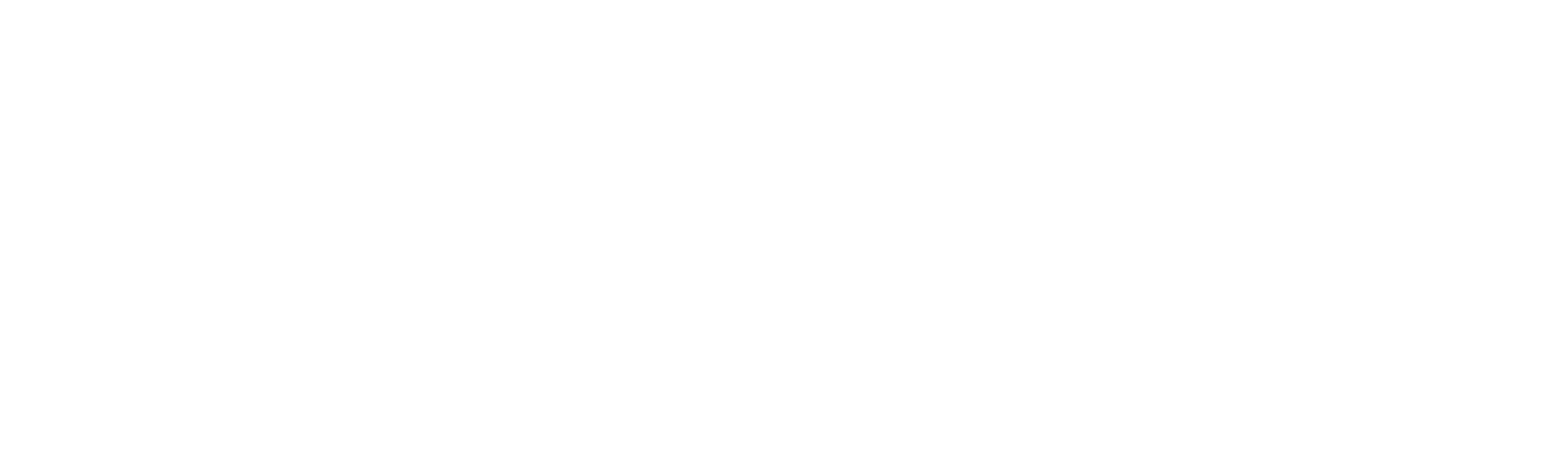 logo_skyline_white